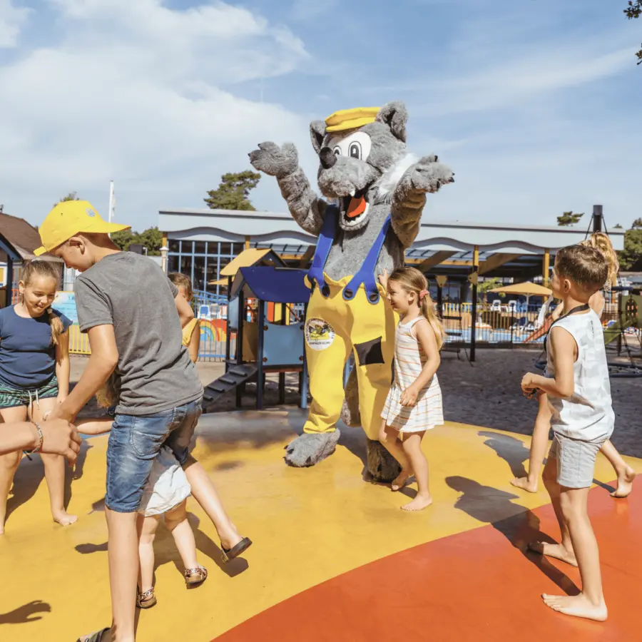 Animatie bij camping Voorthuizen 2