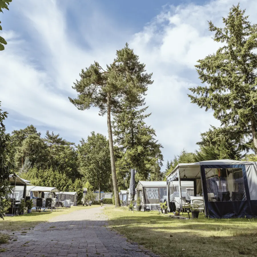 Kamperen Veluwe Zanderij 6