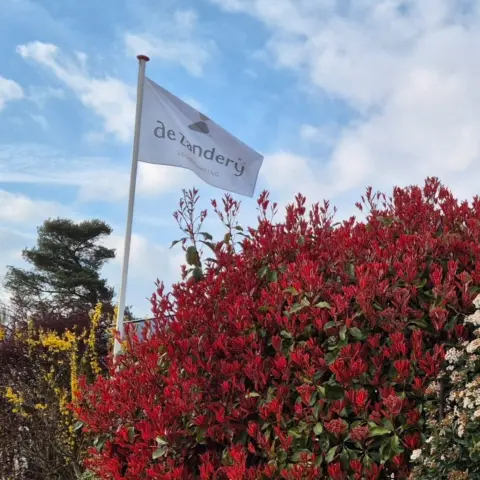 De Zanderij vlaggen 1