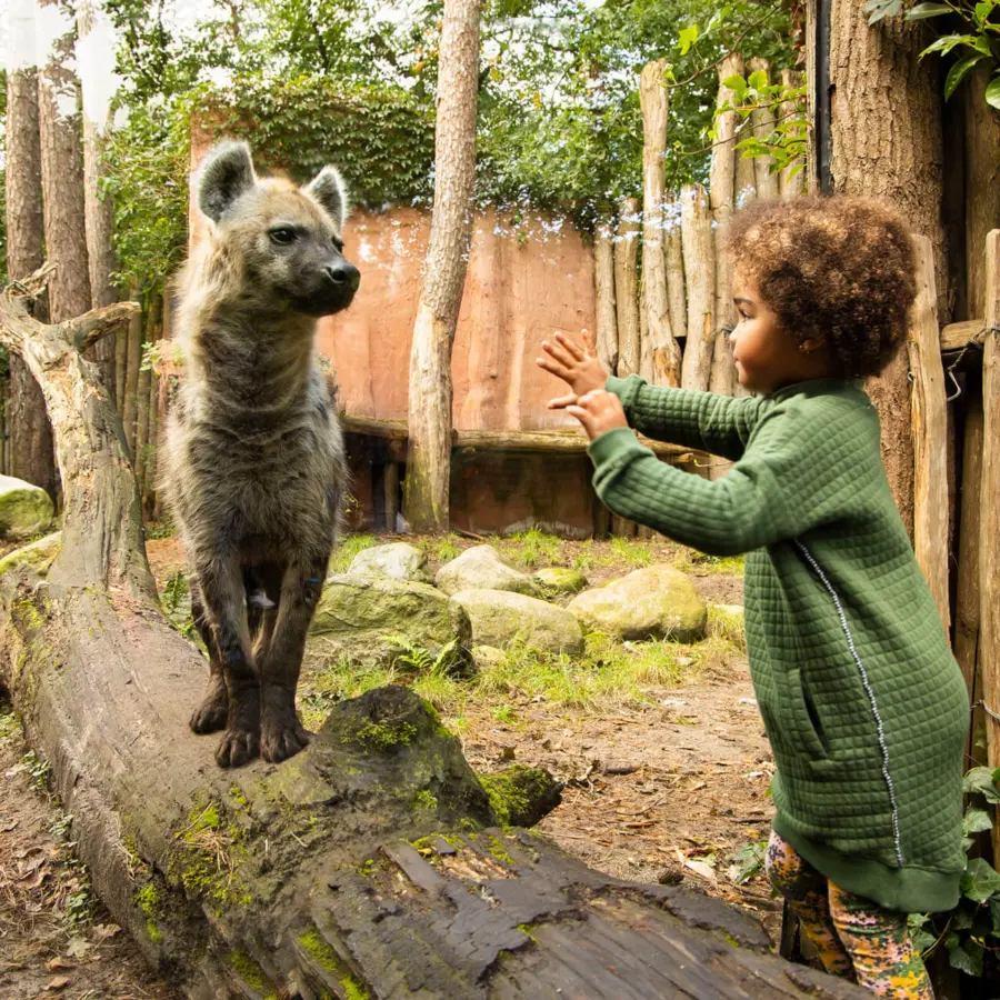 Dieren Park Amersfoort 2