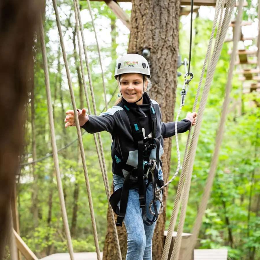 Klimbos Garderen Camping Veluwe 1