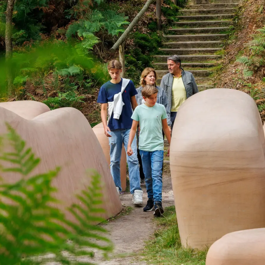 Medium Kröller Müller Camping Veluwe 4