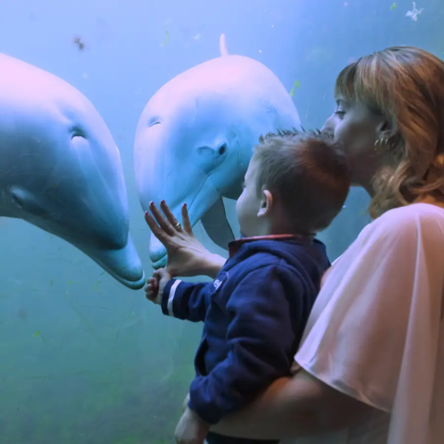 Dolinaruim dagje weg met kinderen