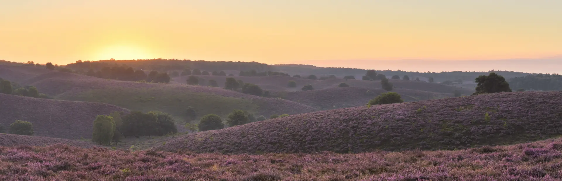 Camping Voorthuizen Veluwe 11
