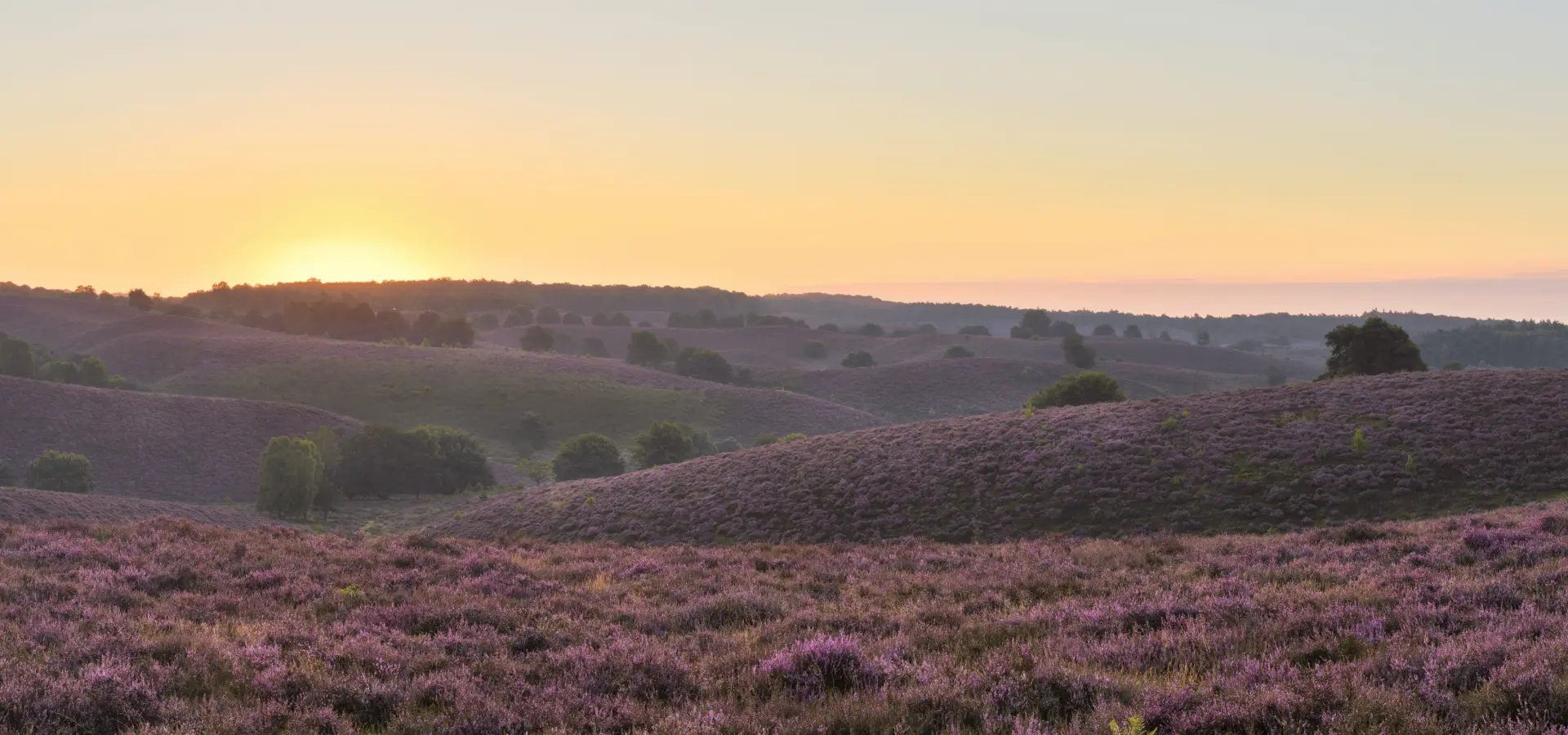 Camping Voorthuizen Veluwe 11