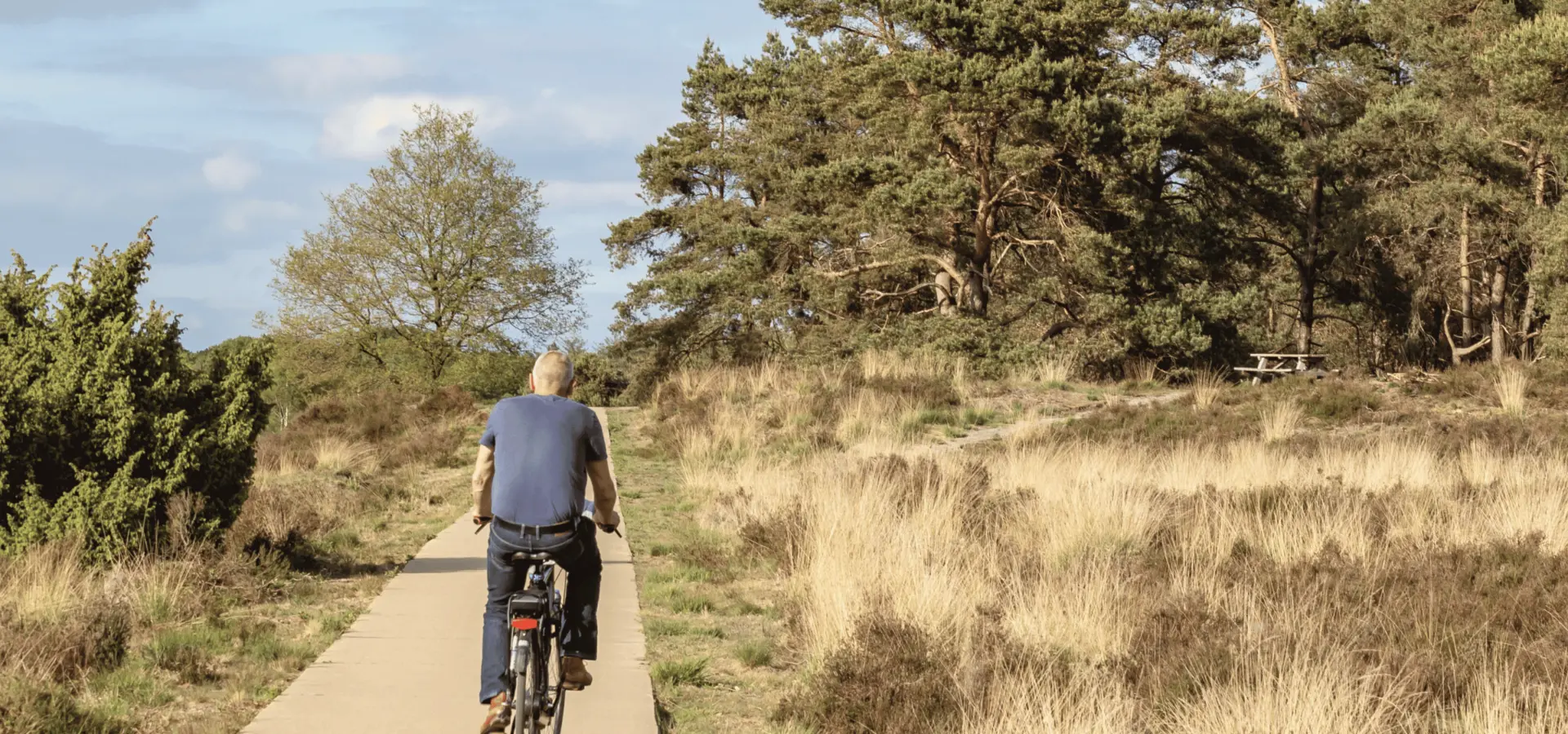 Camping Voorthuizen Veluwe 7