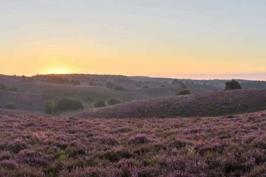 Camping Voorthuizen Veluwe 11