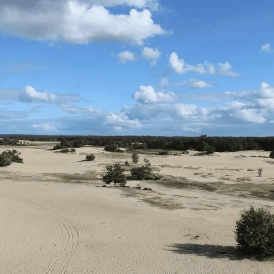 Camping Voorthuizen Veluwe 2