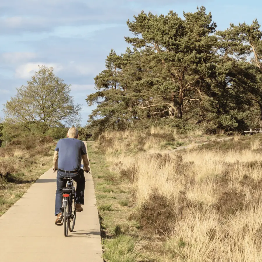 Camping Voorthuizen Veluwe 7