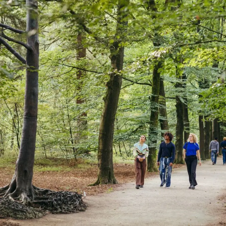 Camping Voorthuizen Zanderij