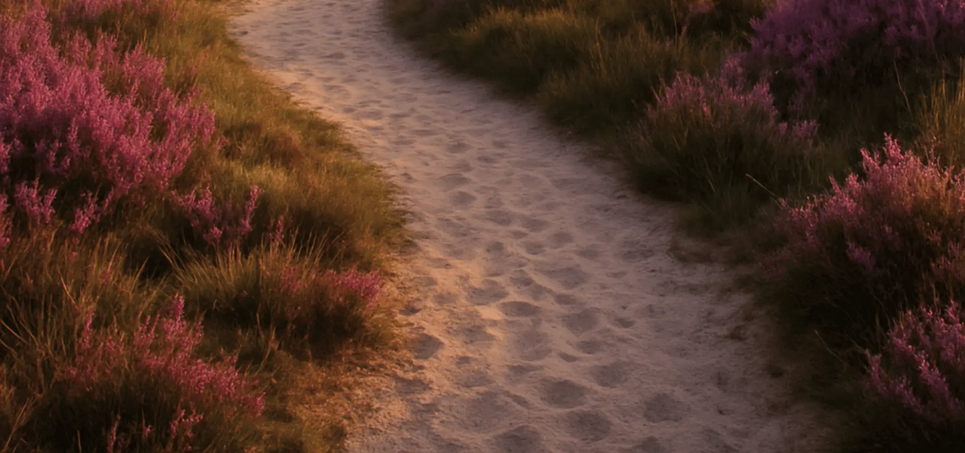 Kamperen Veluwe Camping de Zanderij 1