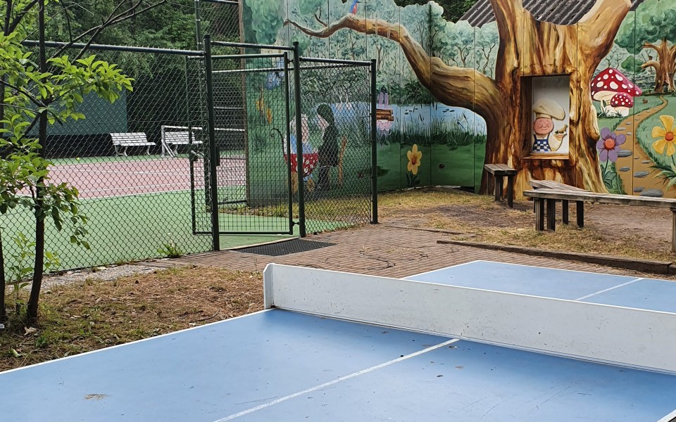 Tafeltennis