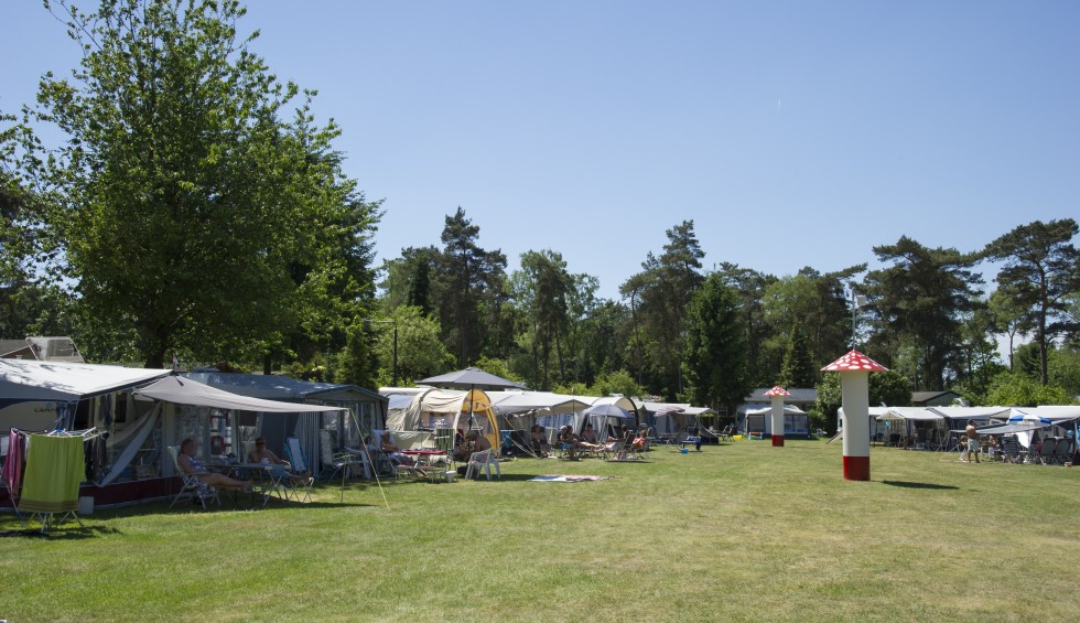 Kamperen Camping De Zanderij!