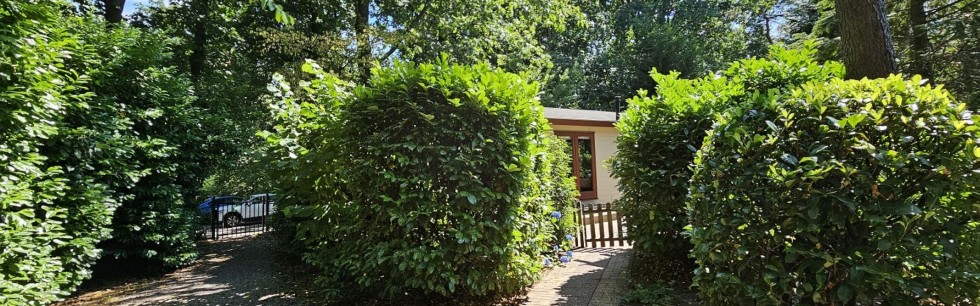 Zanderij S520 foto 2_1.jpg